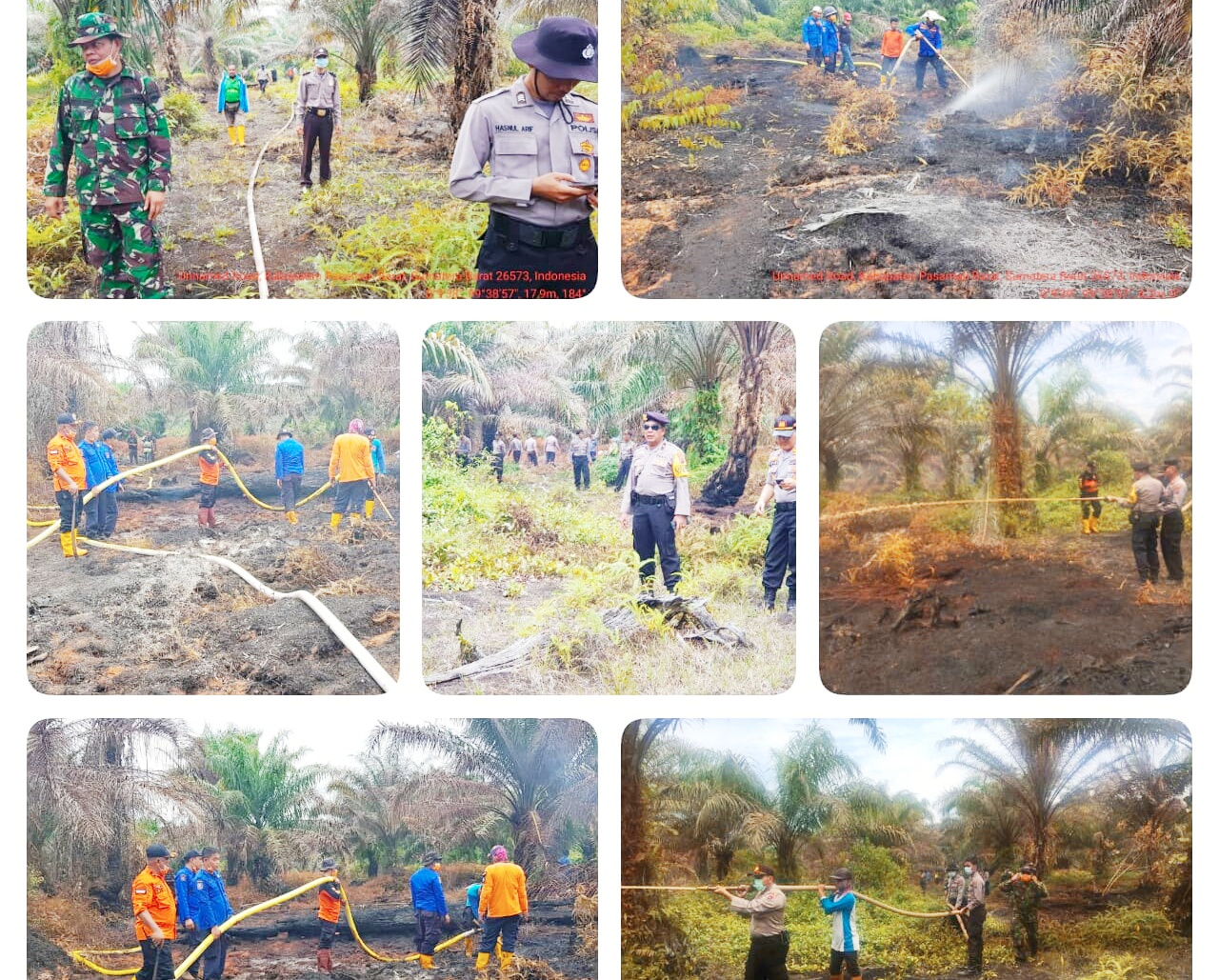 Dua Hektar Lebih Lahan Perkebunan Sawit Terbakar, Polres Pasbar Himbau Masyarakat Untuk Tidak Membakar Lahan