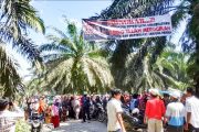 Demi Tanah Ulayat, Masyarakat Tanjung Pangka Rela Tidur Dilokasi dan Kecewa Dengan Pemerintah Setempat