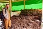 Timbulan Sampah Rumah Tangga dan Pasar Padang Panjang Capai 40 Ton Perhari