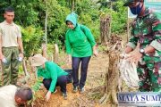 Tingkatkan Pembinaan LH, Kodim 0319/Mentawai Bersama Pemkab Tanam Pohon