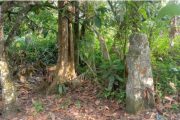 Batu Sandaran Ninik Situs Bersejarah Nagari Limbanang