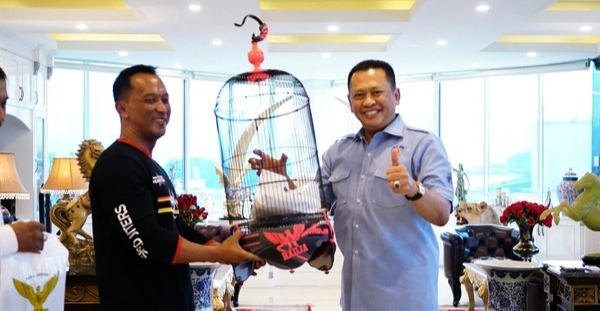 Ketua MPR RI Ajak Komunitas Pecinta Burung Ambil Bagian Lestarikan Satwa Yang Terancam Punah
