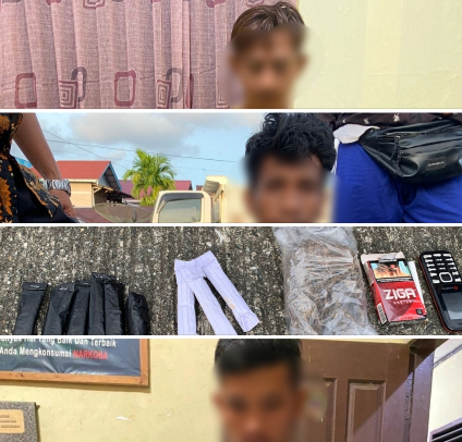 Pemilik dan Pengguna Daun Ganja di Tuapeijat di Ringkus Satresnarkoba Mentawai