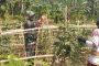 Babinsa Siberut Ajak Warga Binaan Manfaatkan Daun Sagu Sebagai Atap Rumah