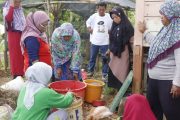 Penguatan Kapasitas Petani, Yayasan FIELD Berikan Pelatihan Pembuatan POC di Desa Sipora Jaya