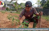 Manfaatkan Pekarangan Rumah Menjadi Lahan Produktif