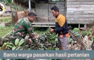Babinsa Serda Muskhandar Bantu Pasarkan Hasil Pertanian Warga ke Agen