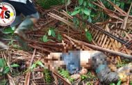 Diduga di Bunuh, Operator Mesin PLN Saliguma di Temukan Meninggal