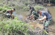 Cegah Abrasi, Satgas TMMD dan Warga Tanam Magrove di Pesisir Pantai