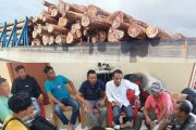 Berita Penghadangan dan Pengambilan kayu di Hutan Produksi, Isu Tidak Benar, PT BRN Siap Lapor Balik