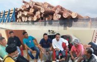 Berita Penghadangan dan Pengambilan kayu di Hutan Produksi, Isu Tidak Benar, PT BRN Siap Lapor Balik