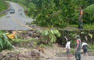 Babinsa Koramil 03 Sipora Pantau Kejadian Pohon Tumbang dan Longsor