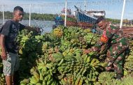 Bahas Pemasaran dan Transportasi, Babinsa Serda Muskhandar Komsos Dengan Pedagang Pisang