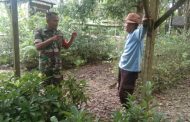 Motivasi Warga, Babinsa Serda Sudirman Sambangi Petani Tradisional
