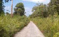 Parah! Jalan Dari Pokai-Sikabaluan di Tutupi Semak Belukar Jadi Pusat Perhatian Publik