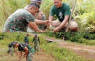 Gerakan Penghijauan di Lokasi TMMD, Kodim 0319 Mentawai Tanam Berbagai Jenis Pohon