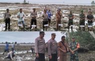 Cegah Abrasi, Polsek Sipora Tanam Magrove di Sepanjang Pantai Sioban