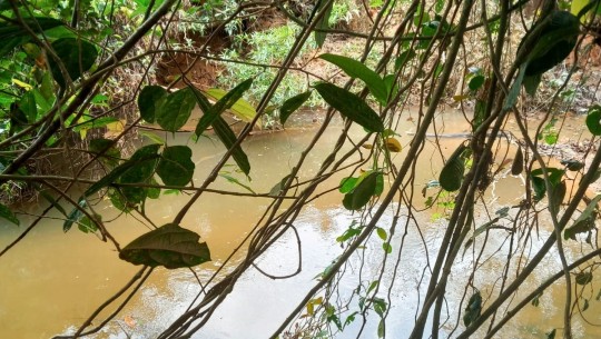 Sungai Lasi Tercemar Limbah, Masyarakat dan Dua Nagari Tuntut Pihak Perusahan PT MSL