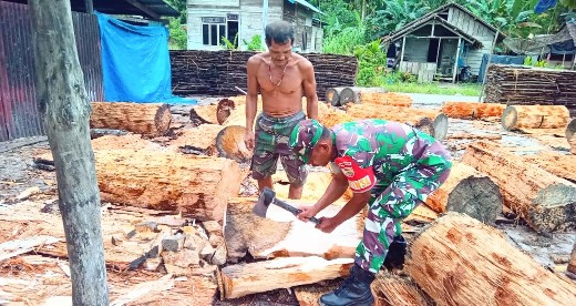 Babinramil 02 Muara Siberut Ajak Warga Olah Sagu Jadi Tepung