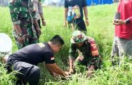 Peduli Lingkungan Alam, Koramil 01 Sikabaluan Gelar Penanaman Pohon Bersama