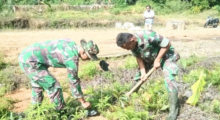 Kurangi Pemanasan Global, Kodim 0319 Mentawai Lakukan Penghijauan