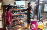 Babinsa 03 Sipora Motivasi Warga Peternak Burung Puyuh di Matobe