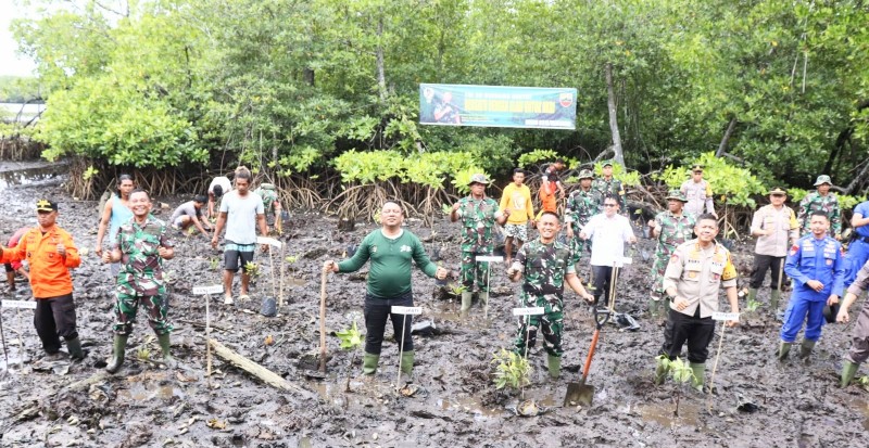 Jaga Kelestarian Lingkungan, Kodim 0319 Mentawai Tanam 1000 Bibit Magrove