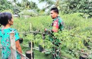 Tingkatkan Perekonomian, Babinramil 04 Sikakap Bantu Rawat Tanaman Warga