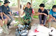 Babinsa Sertu Osten Motivasi Petani Tanam Bibit Durian di Lahan Kosong