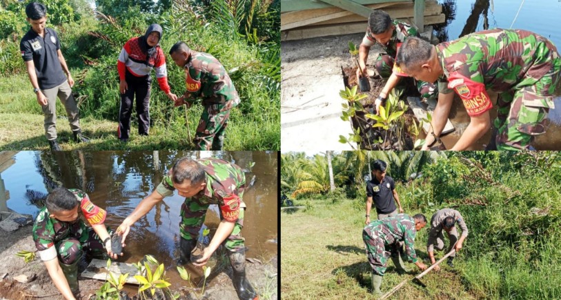 Babinramil 01 Sikabaluan Bersama Warga Lakukan Penanaman Pohon Keras dan Pembibitan