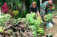Babinsa Sertu Muskhandar Motivasi Petani Pisang di Desa Sotboyak