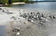 Dampak Penggerukan Pantai di Lakukan WNA, Terumbu Karang di Pulau Makakang Rusak