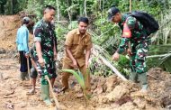 Penghijauan, Dansatgas TMMD Bersama Warga Tanam Pohon Kelapa di Lokasi Jalan Lingkar