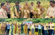 Perdana Panen Jagung Pakan 12,5 Ton, Bumdes Musara Desa Muara Siberut Keluhkan Pupuk Mahal dan Peralatan Minim