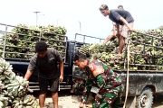 Bantu Warga Bongkar Muat Pisang, Babinrmail 01 Sikabaluan Motivasi Sopir Pick Up