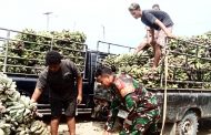 Bantu Warga Bongkar Muat Pisang, Babinrmail 01 Sikabaluan Motivasi Sopir Pick Up