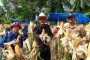 Panen Jagung di Desa Mara, Wujud Dukungan Program Asta Cita Ketahanan Pangan 