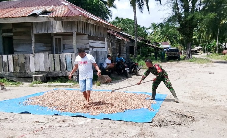 Babinrmail 01 Sikabaluan Motivasi Penampung Komoditi Pinang di Desa Sigapokna