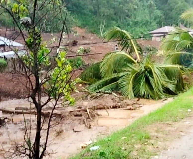 Longsor di Pasie Laweh, 5 Rumah Warga Tertimbun dan Saluran Irigasi Utama Tertutup
