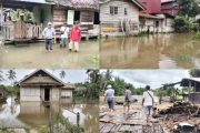 Rumah Hingga Lahan Pertanian Warga Terendam Banjir, Ini Himbauan Kades Muara Siberut