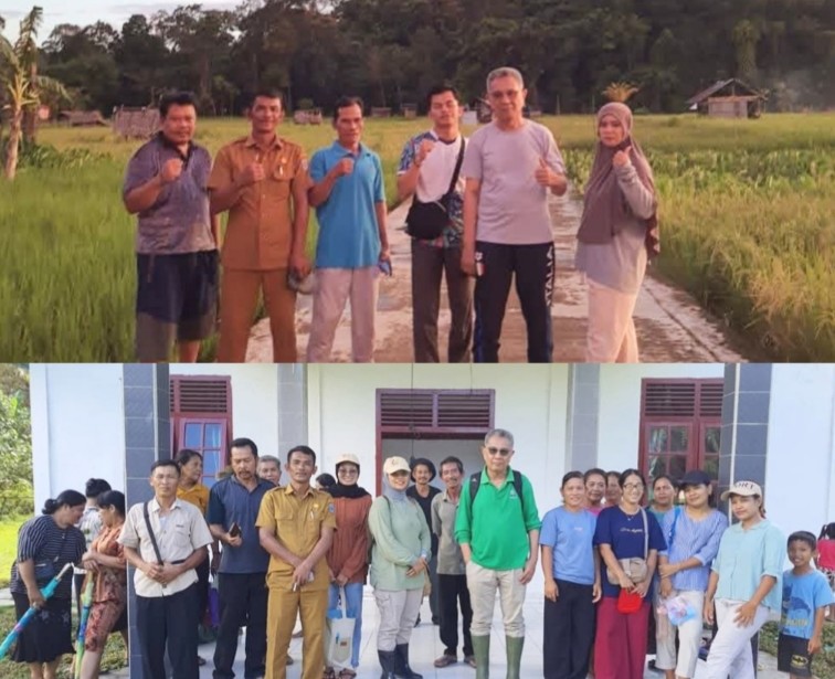 Optimalisasi Lahan Sawah di Desa Makalo, Total Luasan Investigasi 153,67 Hektar