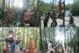 Desa Makalo Bakal Hadirkan Wisata Mangrove Yang Berlokasi di Dusun Tubeket