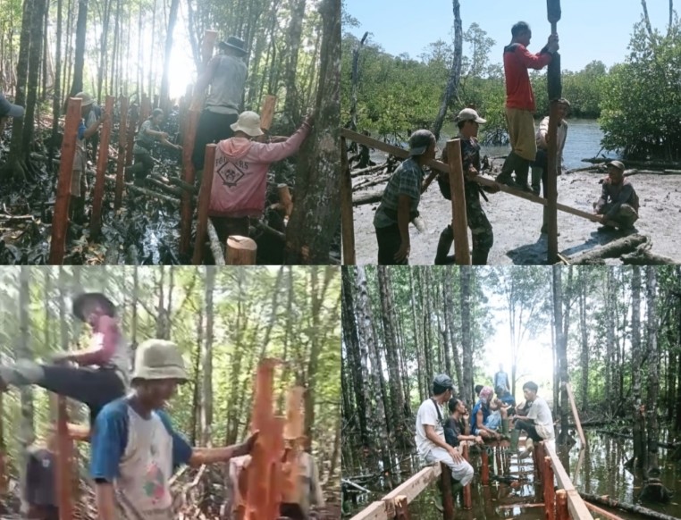 Desa Makalo Bakal Hadirkan Wisata Mangrove Yang Berlokasi di Dusun Tubeket