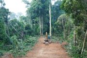 Permudah Akses Masyarakat, Pemdes Goiso'oinan Buka Jalan Pertanian