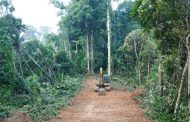 Permudah Akses Masyarakat, Pemdes Goiso'oinan Buka Jalan Pertanian