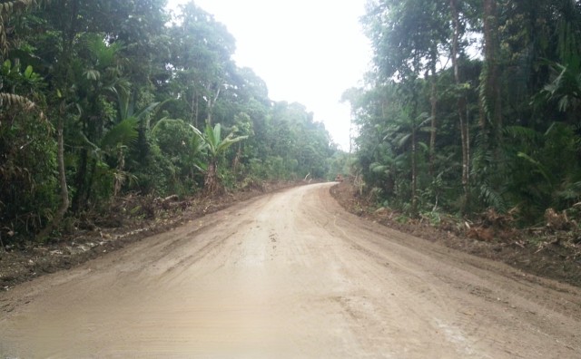 Pembangunan Jalan Km.18-Belekraksok Sudah Mencapai 80 Persen