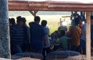 Judi Sabung Ayam di Kampung Laban Nagari Salido Meresahkan, Warga Minta Pihak Berwajib Bersihkan