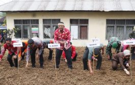 PJ Bupati Mentawai Bersama Forkopimda Gerakan Penanaman Cabe Untuk Pengendalian Inflasi Daerah