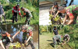 Babinramil 01 Sikabaluan Bersama Warga Lakukan Penanaman Pohon Keras dan Pembibitan