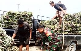 Bantu Warga Bongkar Muat Pisang, Babinrmail 01 Sikabaluan Motivasi Sopir Pick Up